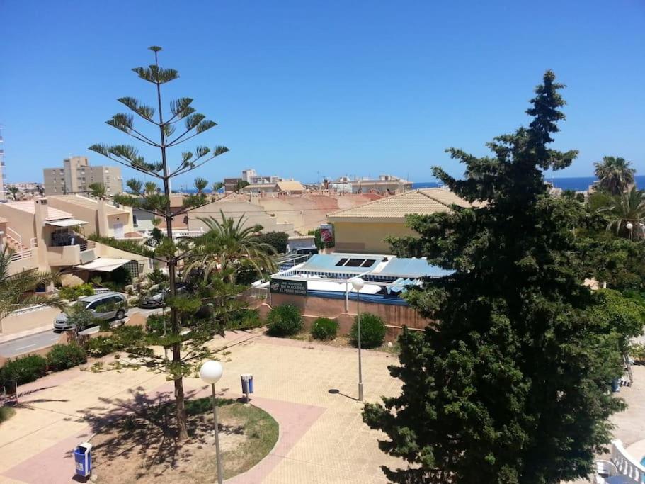 Estudio En Torrevieja A 700 M Del Mar Buitenkant foto